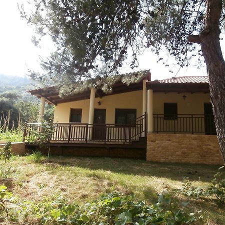Villa Barouti Койнира Екстериор снимка