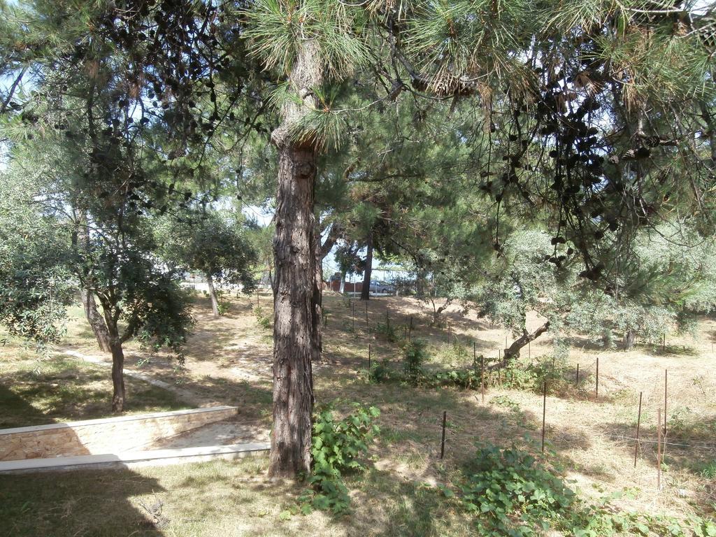 Villa Barouti Койнира Екстериор снимка
